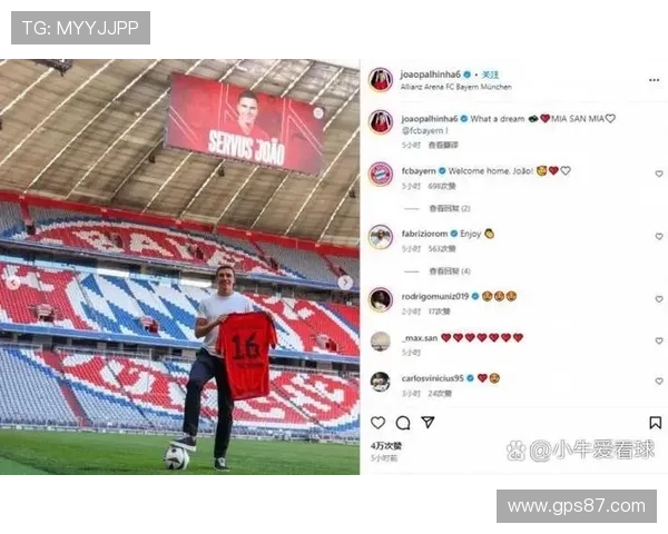 葡萄牙国家队主力后腰：帕利尼亚的国家队地位