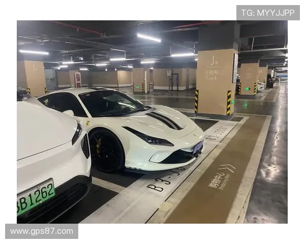 孙悦家的车库比我家还大，里面停的车我一辈子都买不起